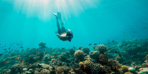 Explore the underwater world at Amaya Kuda Rah Maldives