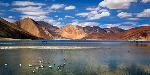 Royal Ladakh Tour