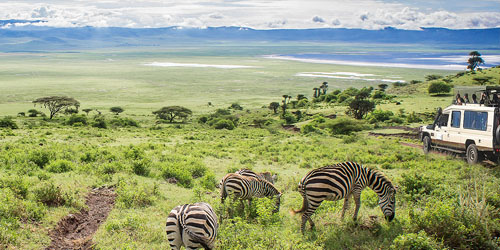 Tanzania Safari